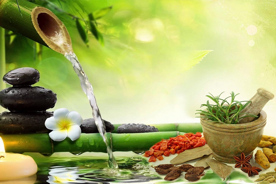 Best Ayurvedic Treatment Centre in Hisar